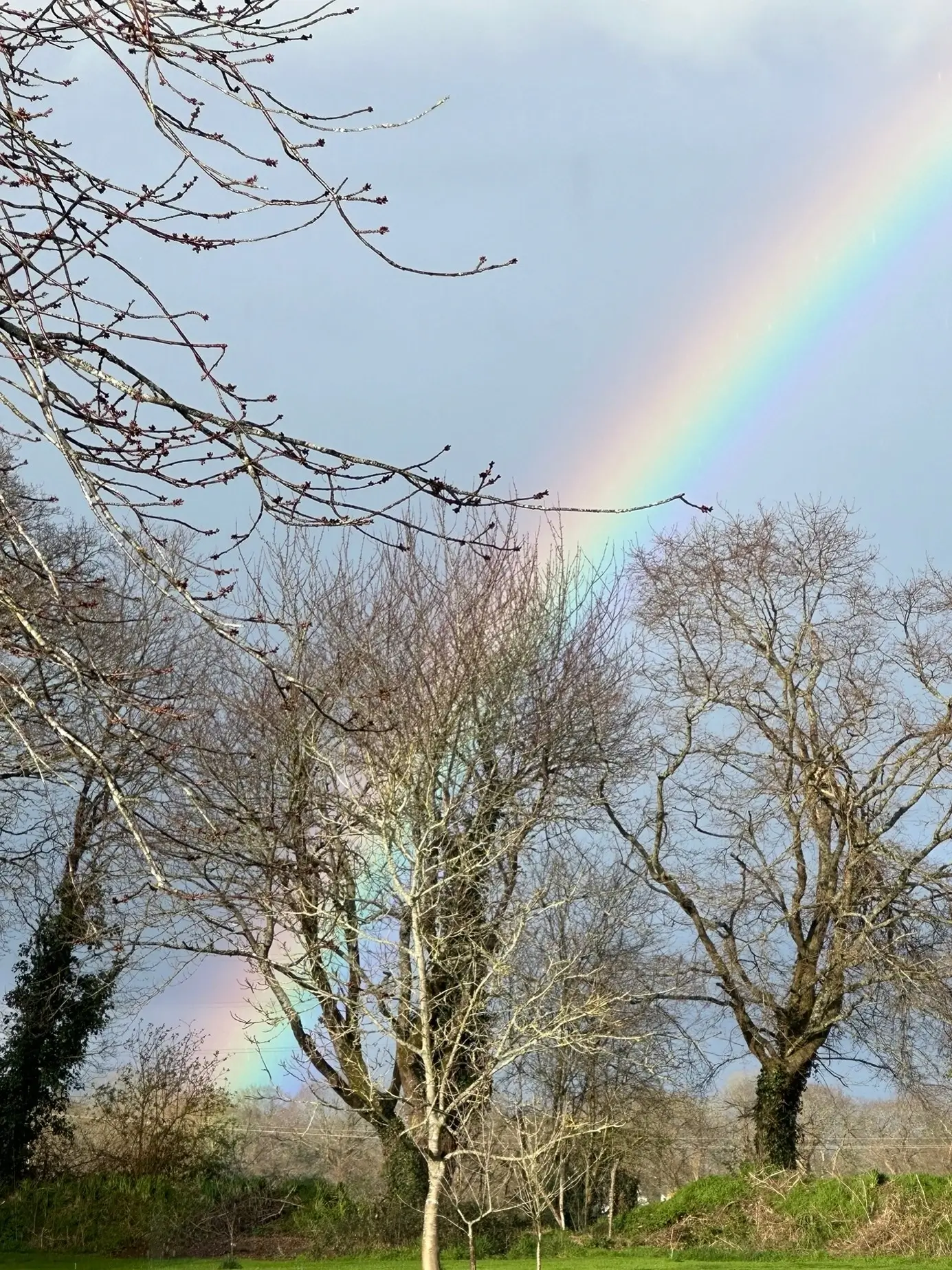 Arc en ciel